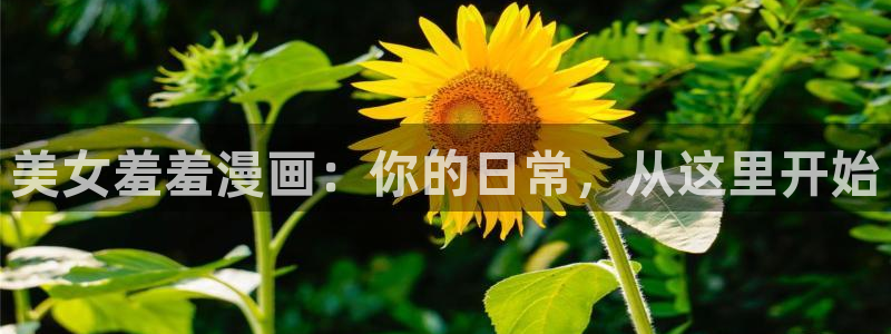 yy漫画首页登录入口页面