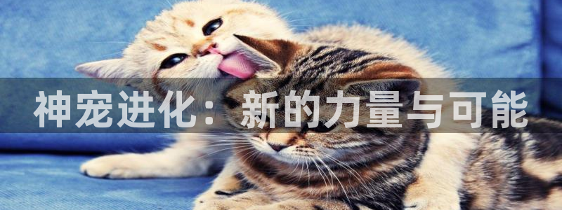 yy漫画大全套