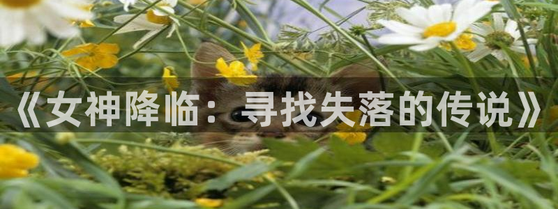 yy漫画登录网站