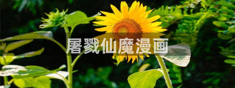 yy漫画韩漫在线阅读