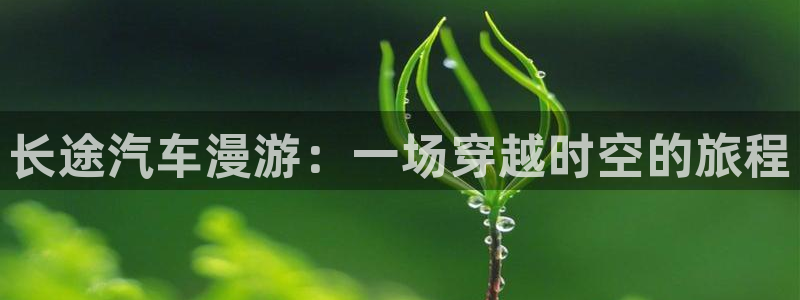 yy漫画网站入口