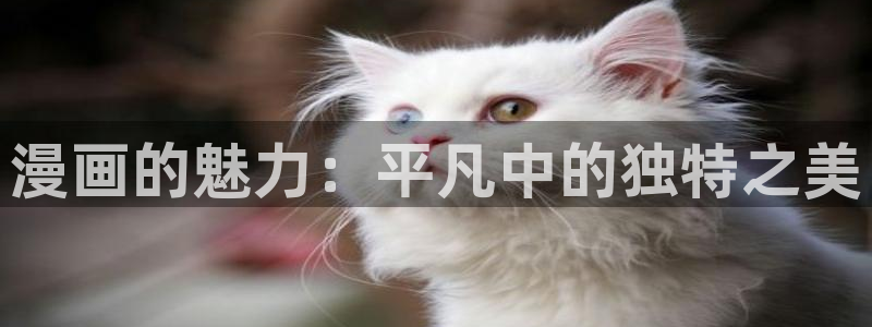 yy漫画网页版入口
