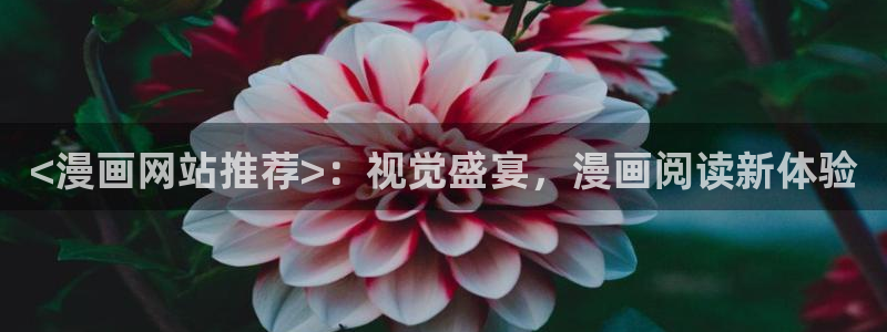 yy漫画网页版入口