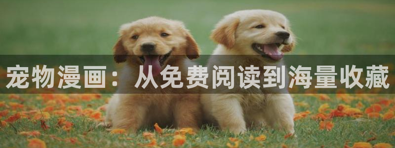 歪歪漫画?喷水漫画yy漫画：宠物漫画：从免费阅读到海量收藏